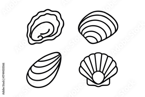 Outline drawings of seashells: oyster, scallop, clam, and mussel