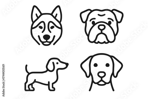 Outline drawings of dog breeds including german shepherd, bulldog, dachshund, and labrador