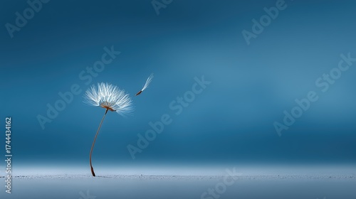 Minimalist Dandelion Seed Blowing in Blue Background
