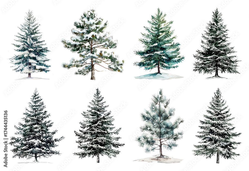 Obraz premium Snow-covered evergreen trees illustration.