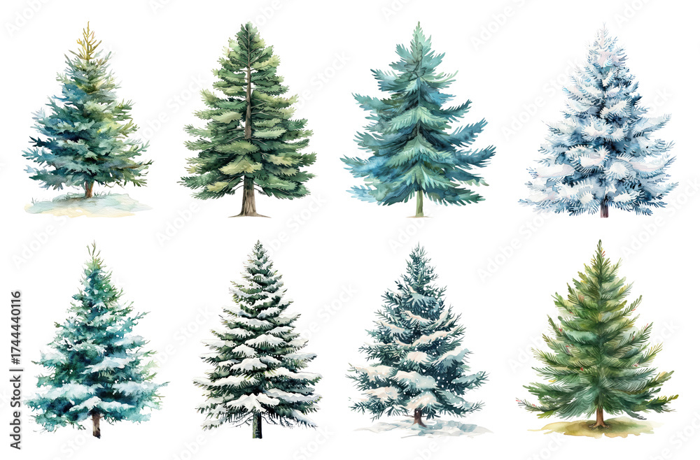 Fototapeta premium Watercolor evergreen trees winter