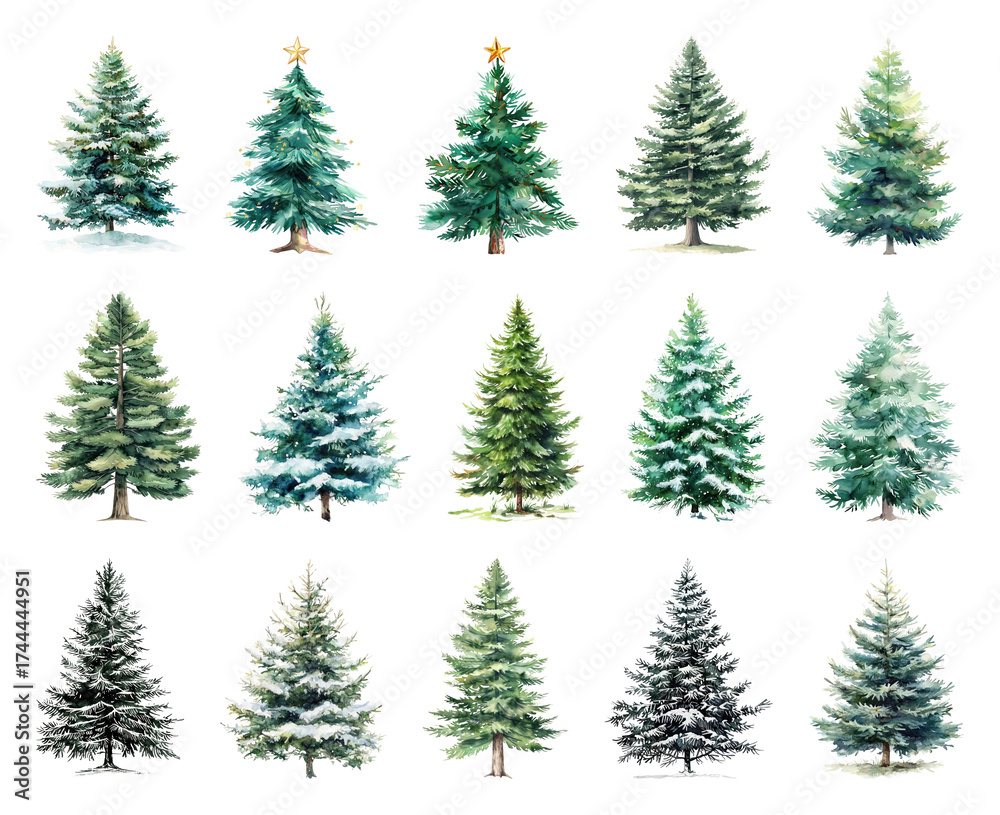 Obraz premium Diverse watercolor evergreen trees collection.