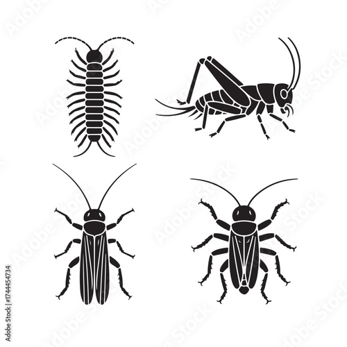 Insect Silhouettes Centipede, Cricket, Cockroach, Beetle