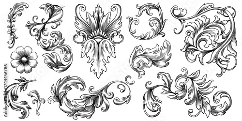 Vintage Baroque or renaissance hand drawn Victorian set of ornament floral elements engraved retro flower decorative design heraldic swirls. 