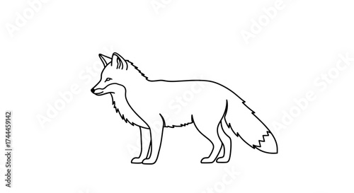 Black and white line art illustration of a standing fox.