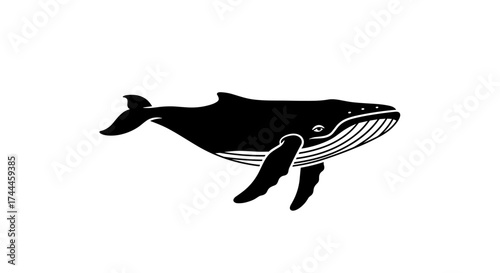 Black Silhouette of a Humpback Whale Swimming.
