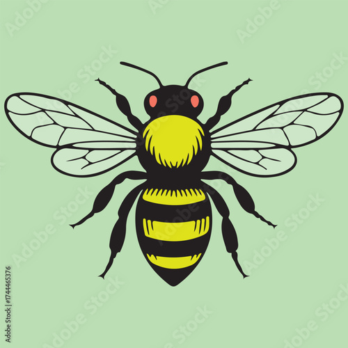 Bumblebee or Honey Bee Illustration