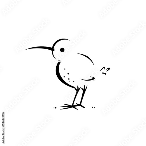 Kiwi. Kiwi simple black and white line art vector logo