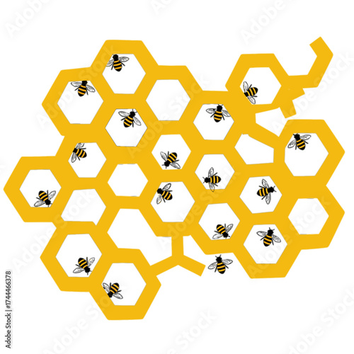 Bees and Honeycomb Illustration on Black.