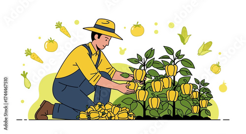 A Farmer Harvesting Ripe Bell Peppers Representing Sustainable Agriculture and Fresh Produce