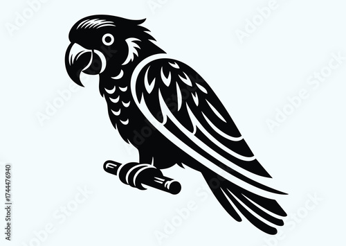 Parrot red-spectacled amazon, black and white vector silhouette