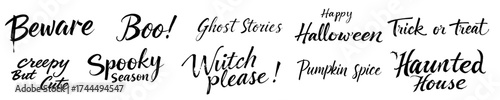 Halloween phrases in spooky black brush calligraphy: Witch please, pumpkin spice, haunted house, creepy cute, boo, trick or treat, Beware, Ghost Stories, Happy Halloween