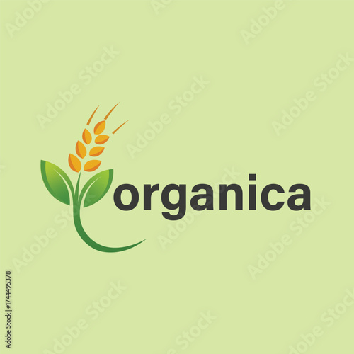 Green wheat stalk with leaves, symbolizing organica, agriculture, natural food, and harvest, ideal for organic farms, healthy food brands, or eco-friendly products.
