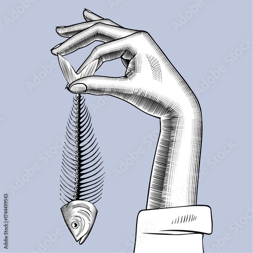 Woman's hand holding a skeleton of an eaten herring fish in her fingers. Vintage engraving stylized drawing. Vector illustration
