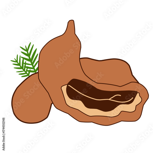 Exotic Tamarind Fruit with Inner Pulp and Seeds