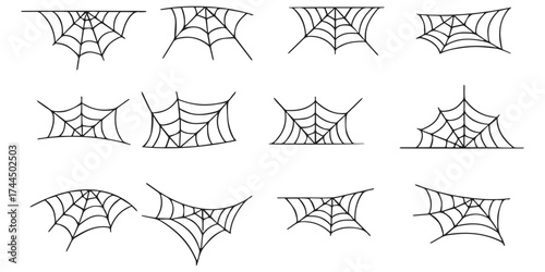 spider and web, Spider web on white background.