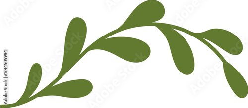 Flowing Leafy Branch
