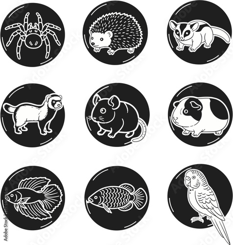 Collection of diverse domestic and exotic animals in circular icons.