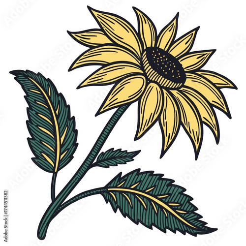 Illustration of a yellow sunflower with green leaves