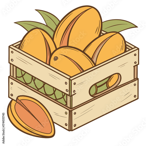 Vector art of a wooden crate filled with ripe mangoes, with one mango sliced in half