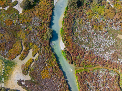 Colorful stream running through a coastal wetland