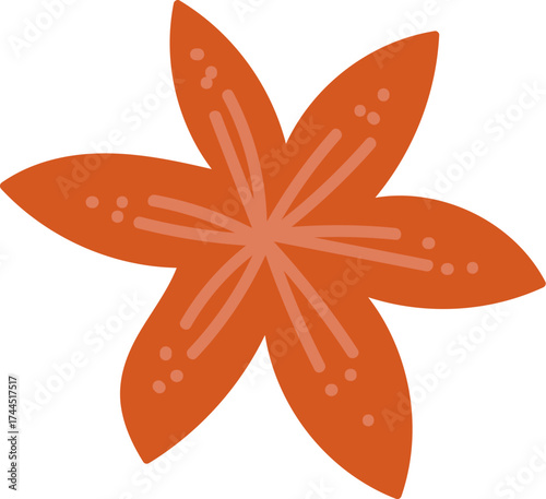 Stylized Star Anise