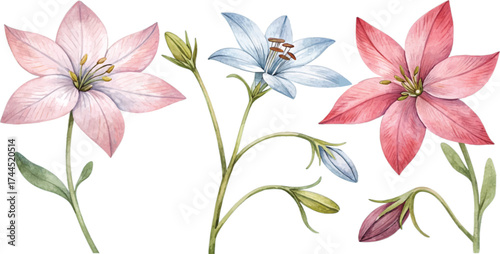 Watercolor Floral Arrangement