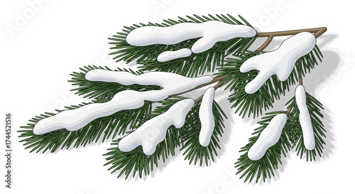 Delicate Spruce Branch Draped in Fresh Snow, Evoking Winter Stillness
