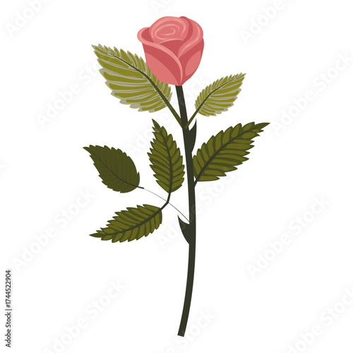 Dusty pink rose. Cute flower on a slightly inclined stem. Vector illustration isolated on white background.