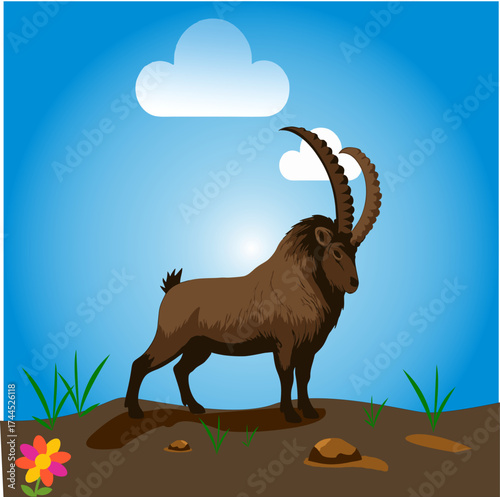 Alpine ibex vector.eps