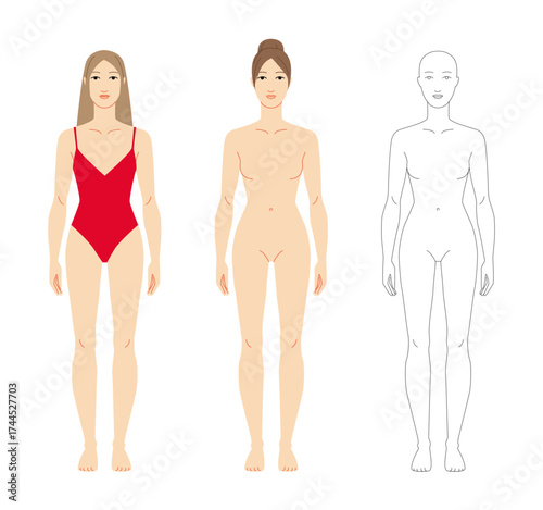 Vector illustration of a 7 head woman in red and without swimsuit, displaying front view style. Perfect for fashion sketches, anatomy reference, and style design.