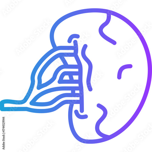 Spleen line gradient icon