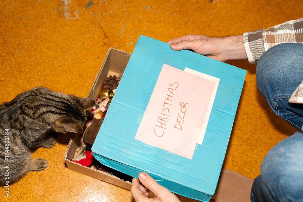 © Alba Vitta Studio/Stocksy - Christmas decor box © Alba Vitta Studio/Stocksy - Christmas decor box