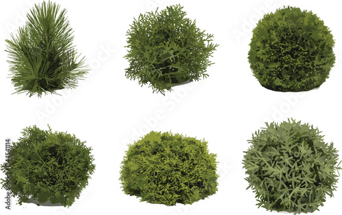 Green garden bushes vector, natural round shrubs illustration, decorative foliage plants, evergreen landscaping design elements, nature artwork
