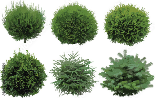 Green round bushes vector, garden plants illustration, landscaping shrubs design, nature foliage artwork, evergreen decorative greenery set