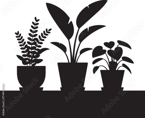 Black silhouette of three potted plants on a white background black and white houseplants
