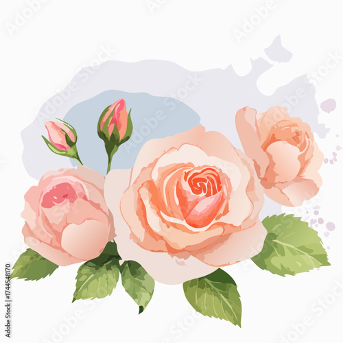 Zarter Aquarell-Hintergrund mit rosa Rosen in unterschiedlichen Blütenstadien