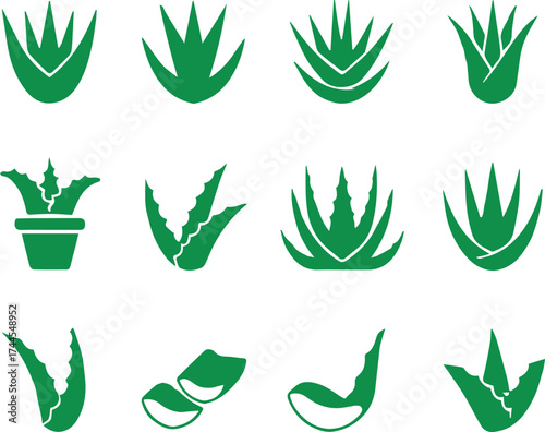 aloe leaf vector pack simple aloe vera plant icons for natural product design