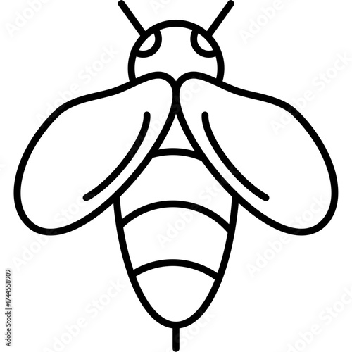 Bee Outline Icon