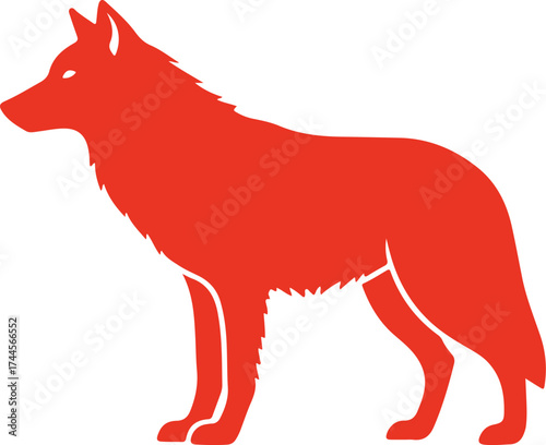 red fox vector illustration