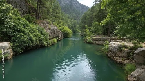 Tranquil river winding through a lush green canyon landscape
