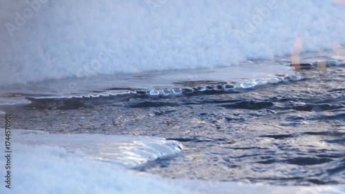 close up shot of a White throated Dipper, also known as the European Dipper, standing in a cold, fast flowing stream with patches of snow on the water, South Ural Russia.