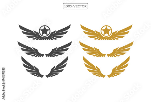 Set of black and gold color wings icons. Wings badges. Collection wings badges. Vector illustration element