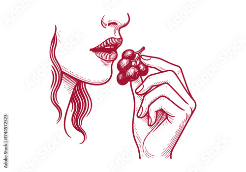 Grape hand drawn simple engraved vector illustration