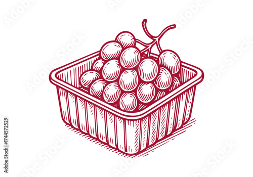 Grape hand drawn simple engraved vector illustration