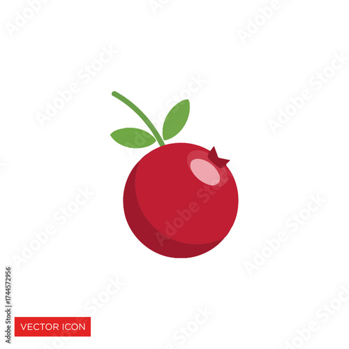 A single red cranberry with green leaves attached to its stem, isolated on a white background.