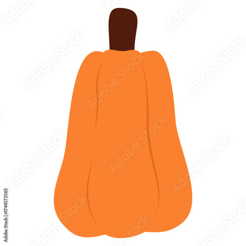 illustration of pumpkin 