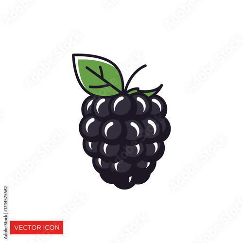 A vibrant illustration of a ripe blackberry with a green leaf, isolated on white.