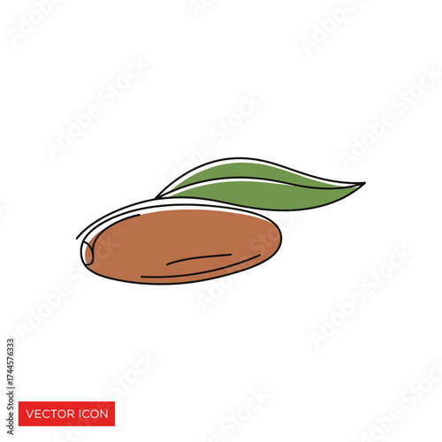 A single argan nut with a green leaf, depicted in a minimalist line art style with color fills.