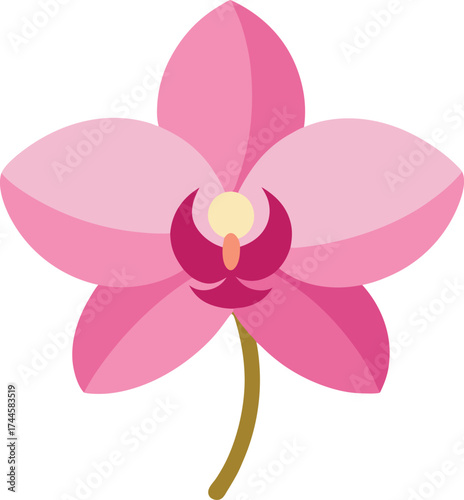 Stylized Pink Orchid Flower Vector Illustration
